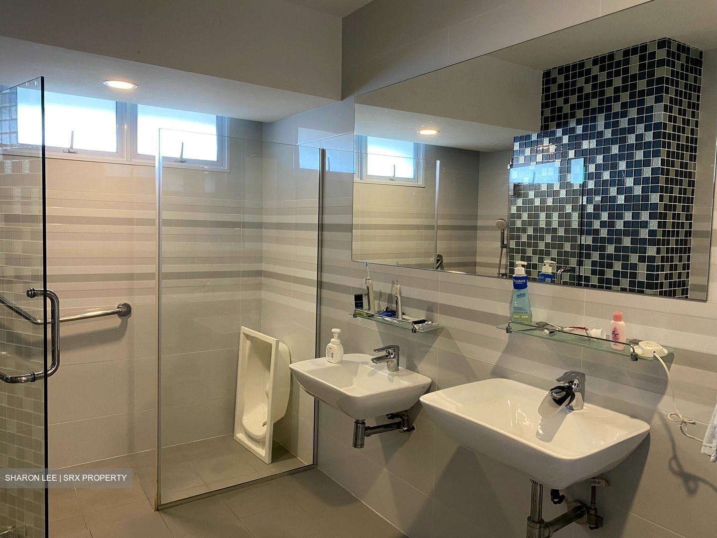 Teresa Ville (D4), Condominium #384273181
